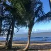 Palm Cove