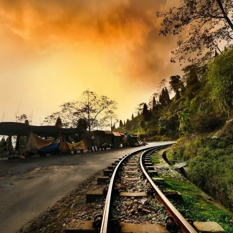 27 Things To Do in Darjeeling