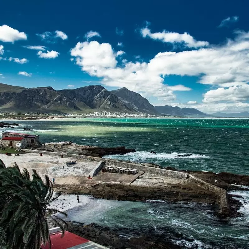 23 Things To Do in Hermanus