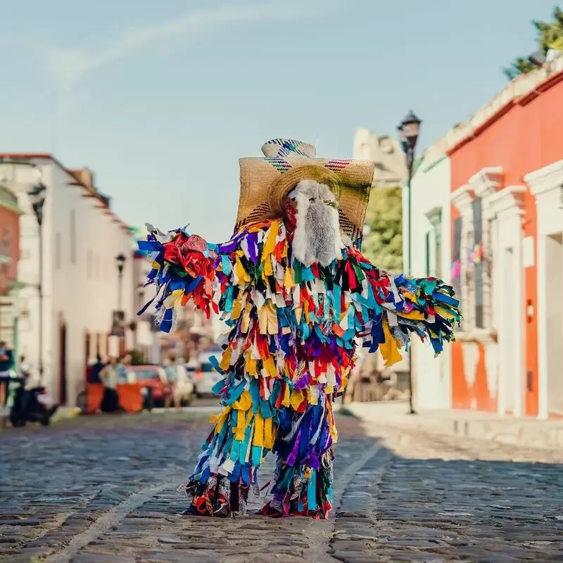 18 Things To Do in Oaxaca