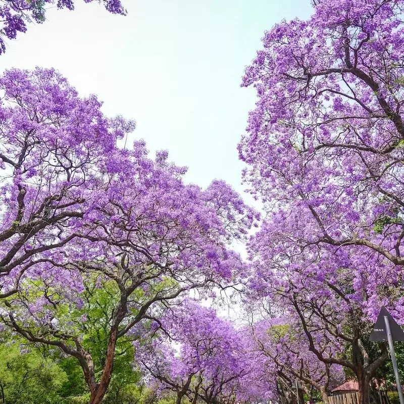26 Things To Do in Pretoria