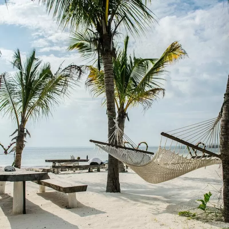 26 Things To Do in Zanzibar