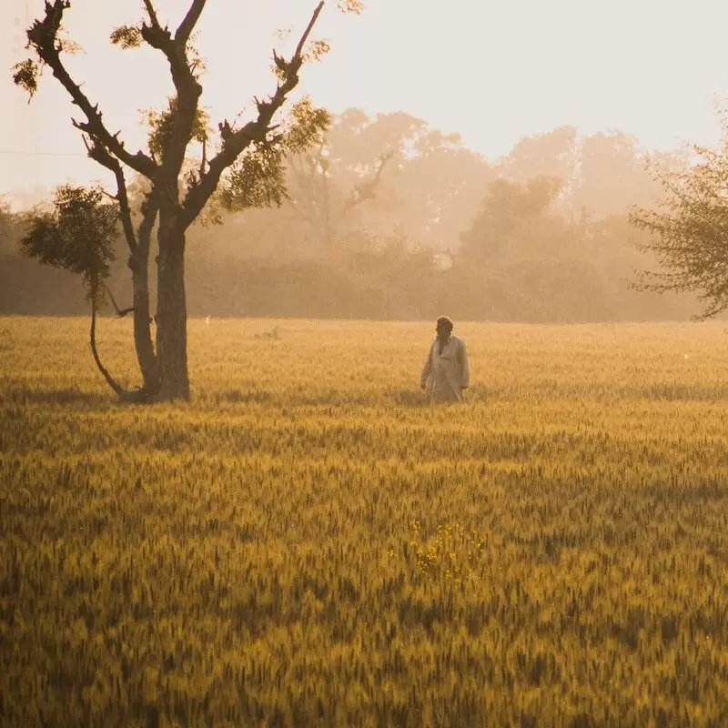 Punjab