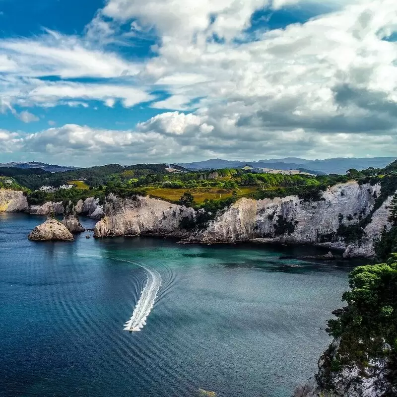 16 Things To Do in Coromandel