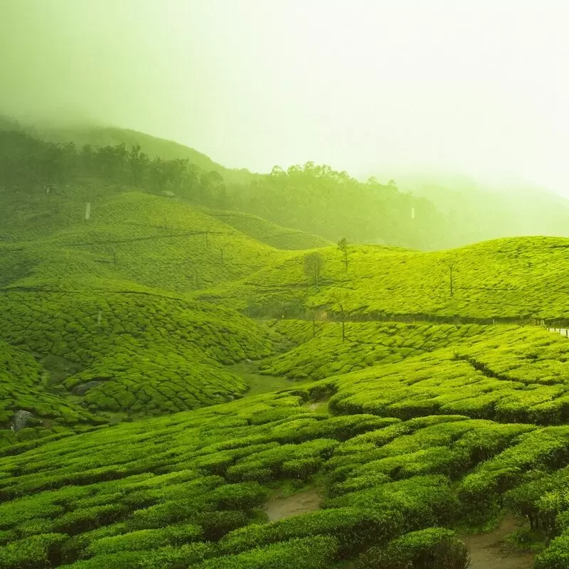 Munnar