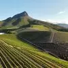 Stellenbosch