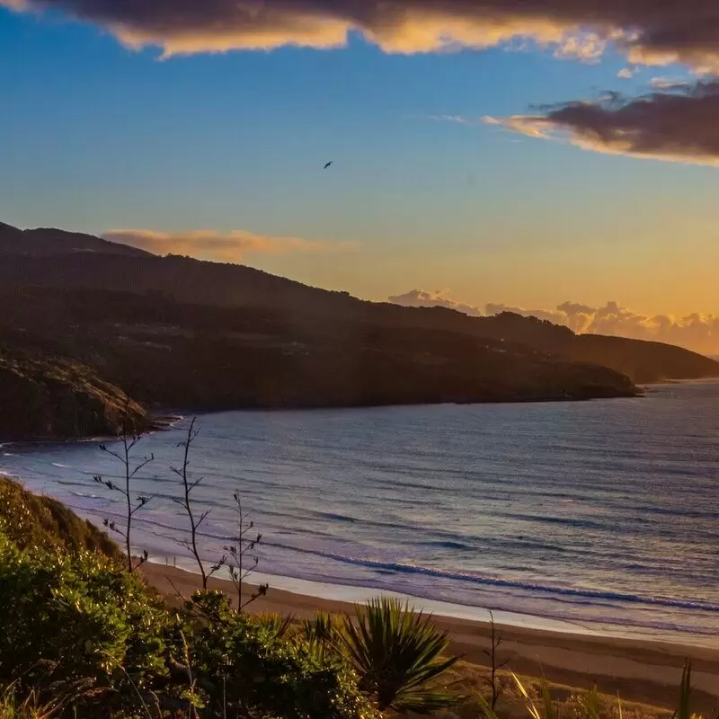 24 Things To Do in Raglan