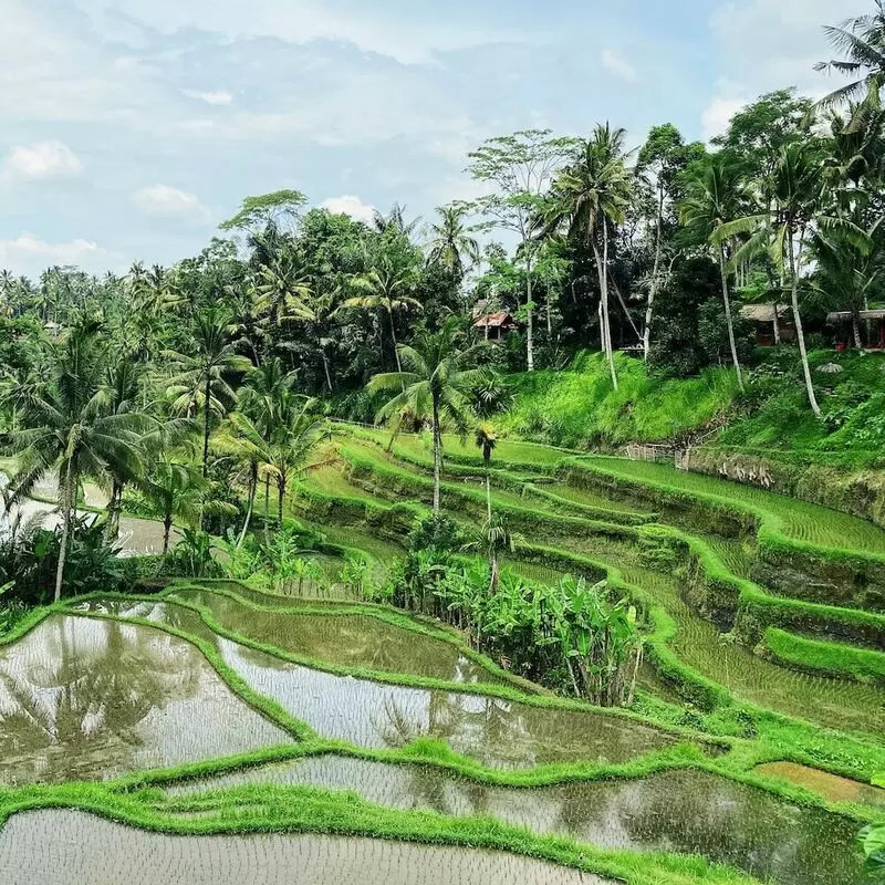 Ubud