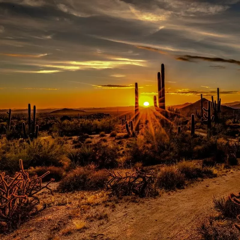 26 Things To Do in Scottsdale