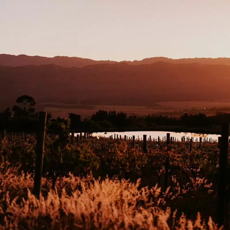 19 Things To Do in Tulbagh