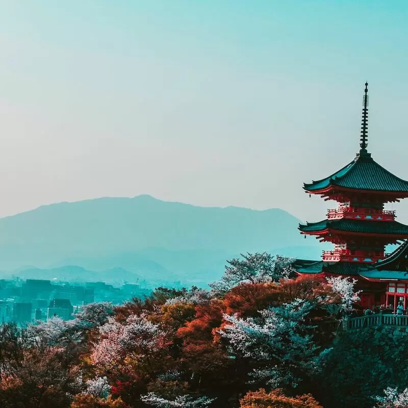 16 Things To Do in Kyoto