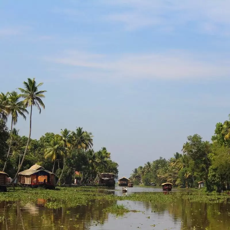 26 Things To Do in Alleppey