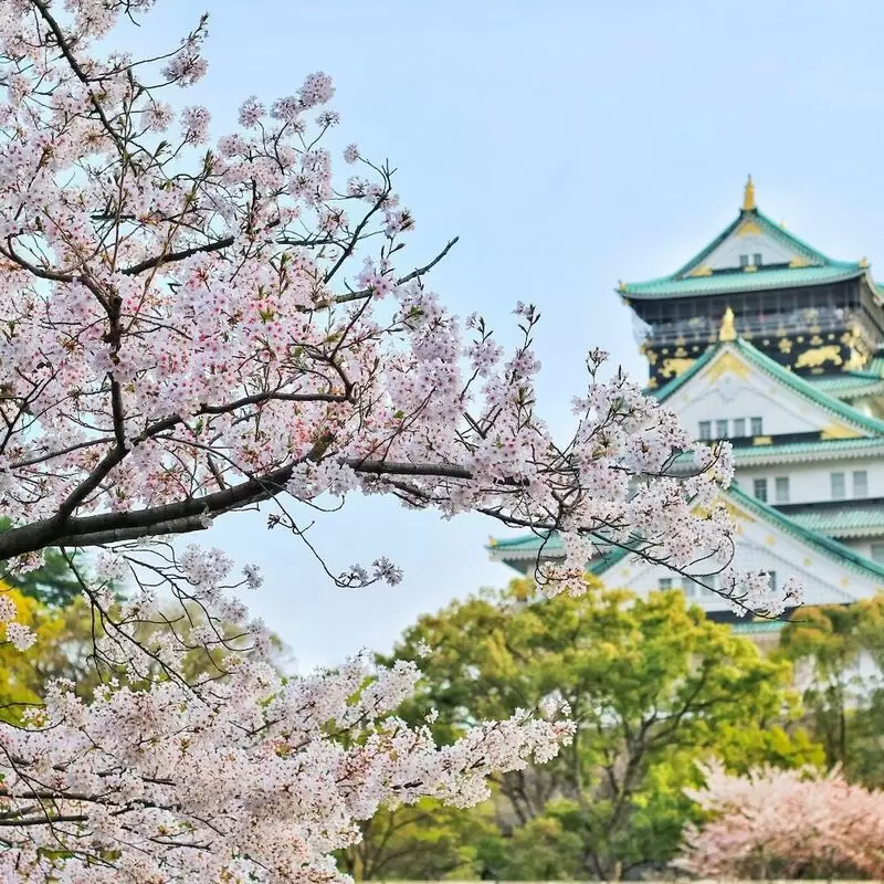 24 Things To Do in Osaka