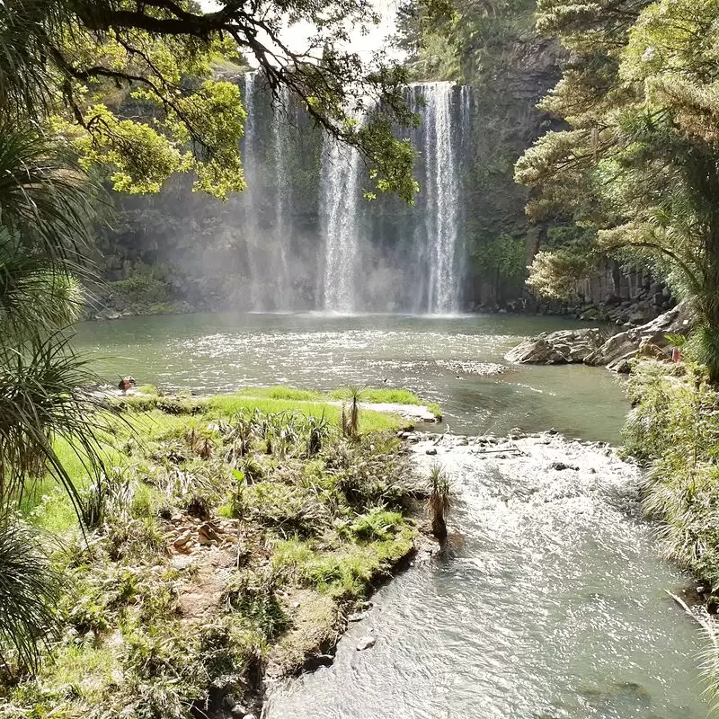 Whangarei Falls