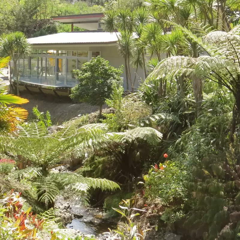 Whangarei Quarry Gardens