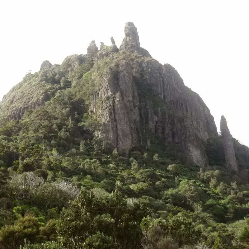 Mount Manaia