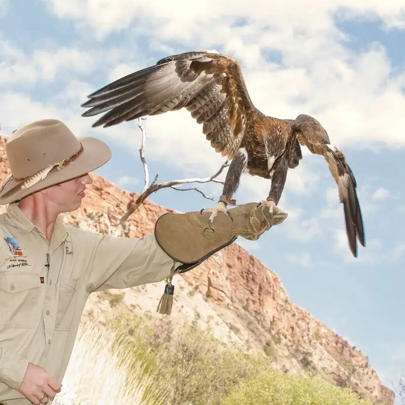 Alice Springs Desert Park