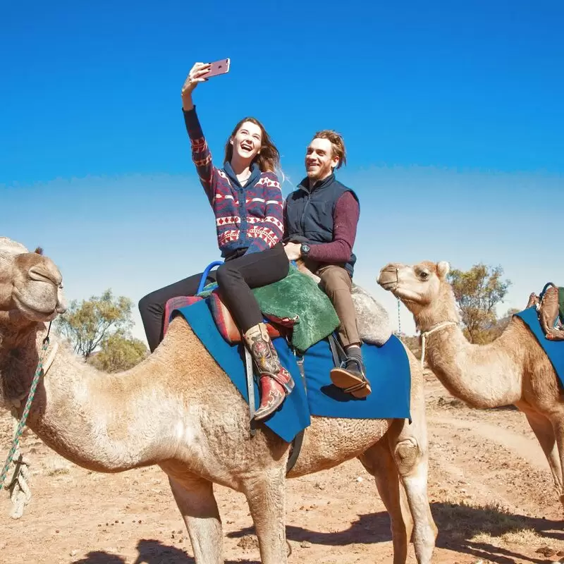 Pyndan Camel Tracks Alice Springs