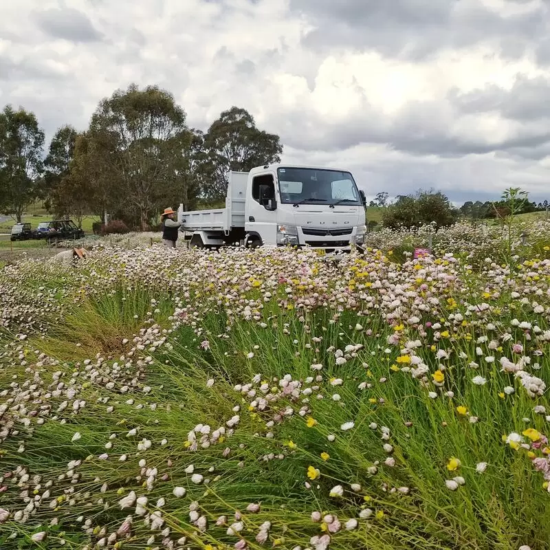 The Australian Botanic Garden