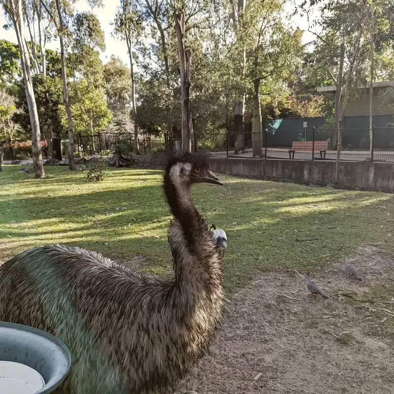 Rockhampton Zoo