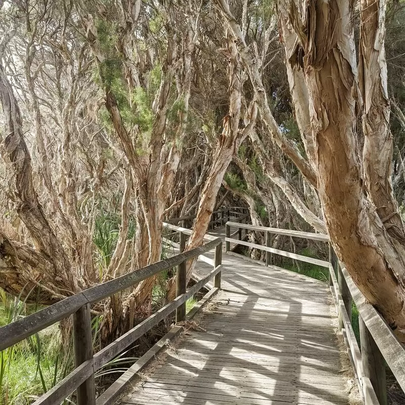 Big Swamp Parkland