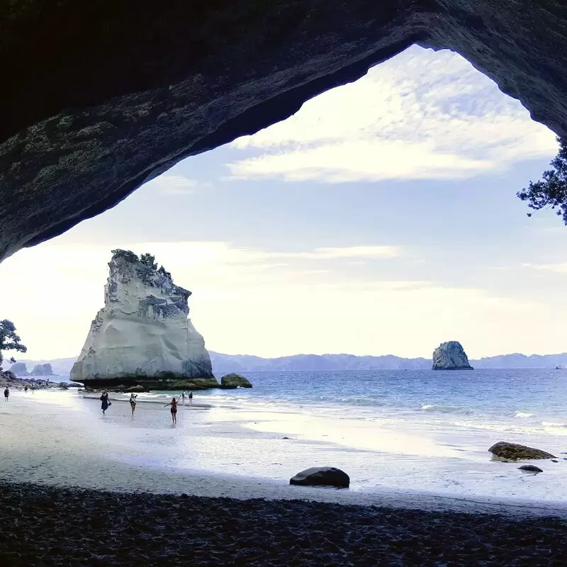 Te Whanganui A Hei Marine Reserve