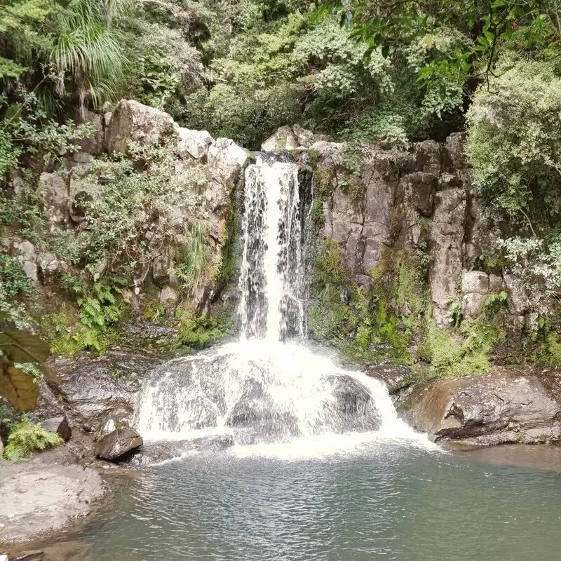 Waiau Falls