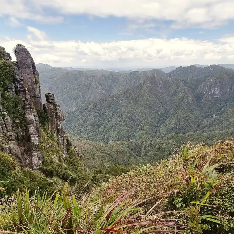 Coromandel Forest Park