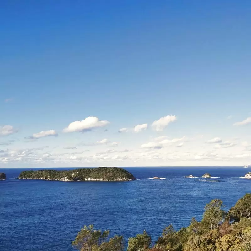 Cathedral Cove Viewing Deck