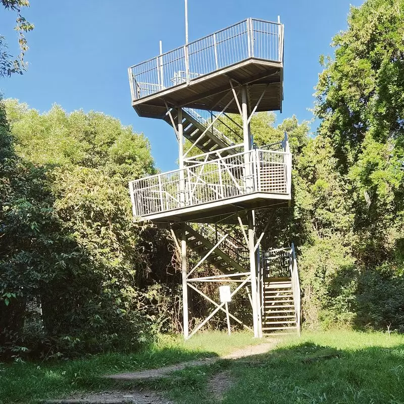 Cape Hawke lookout