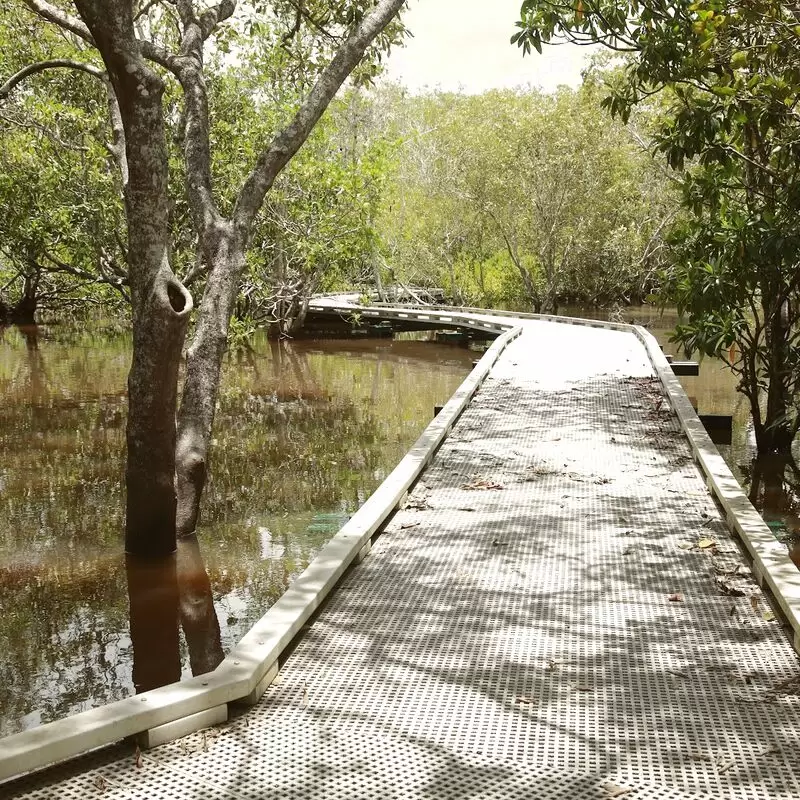 Maroochy Wetland Sanctuary