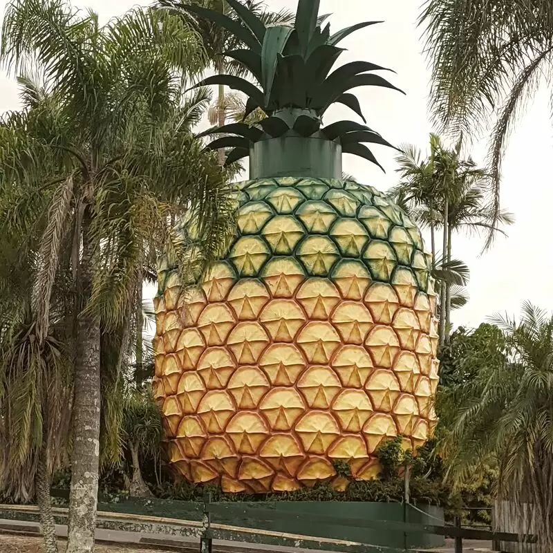 The Big Pineapple