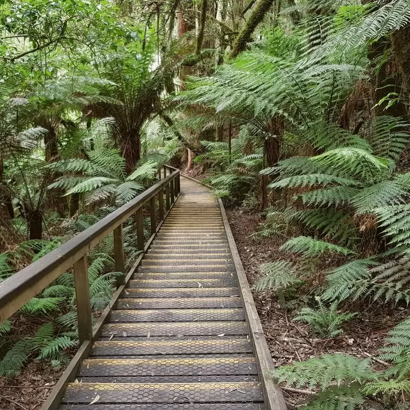 Great Otway National Park