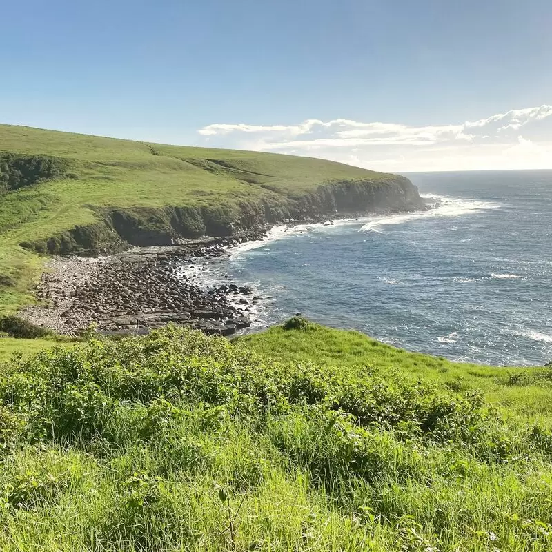 Gerringong to Kiama Coastal Walk