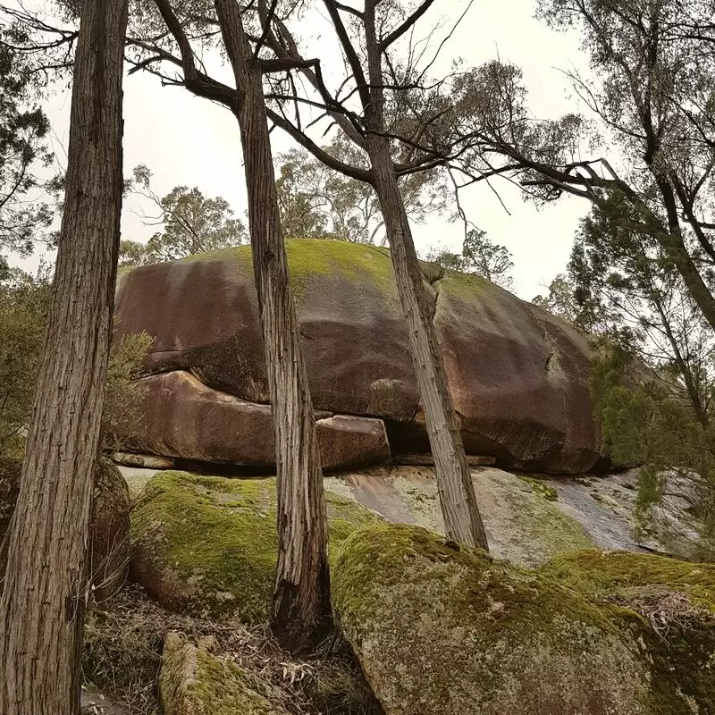 Beechworth Historic Park