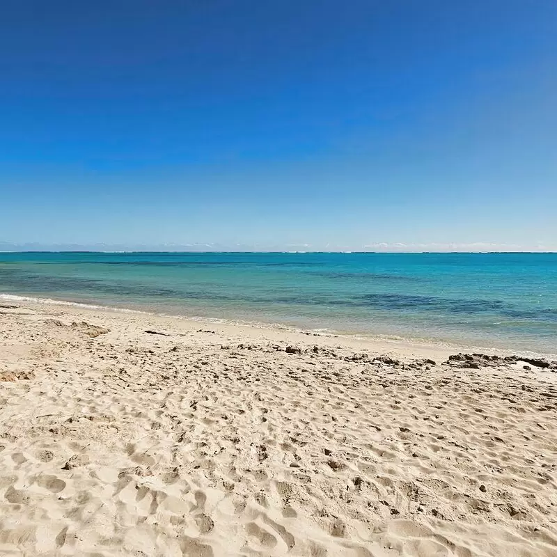 Lakeside Snorkelling Area