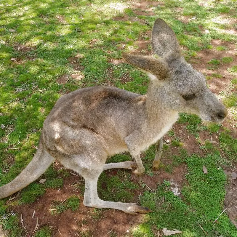 Cooberrie Park Wildlife Sanctuary