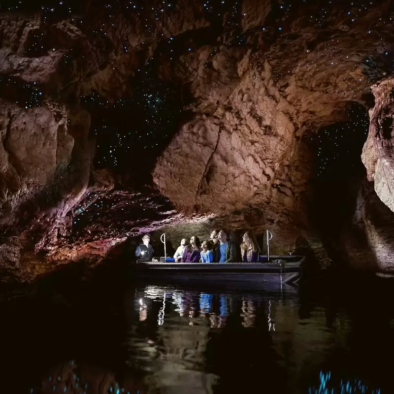 Te Anau Glowworm Caves RealNZ