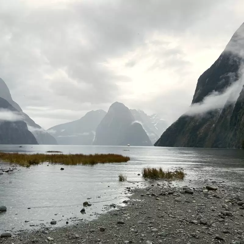 Fiordland Tours