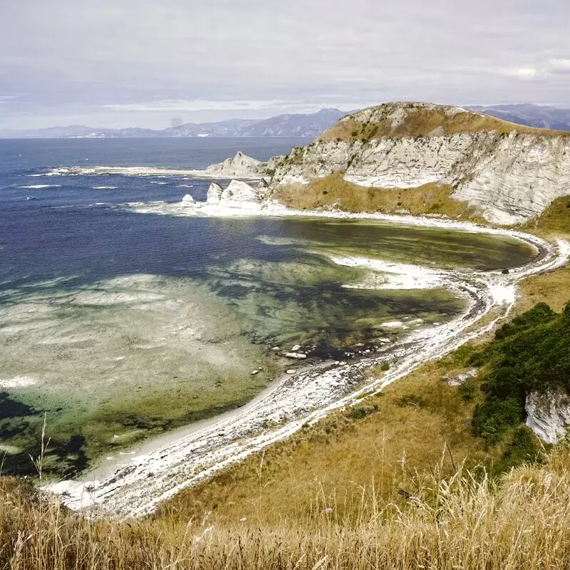 Kaikoura Peninsula Walkway