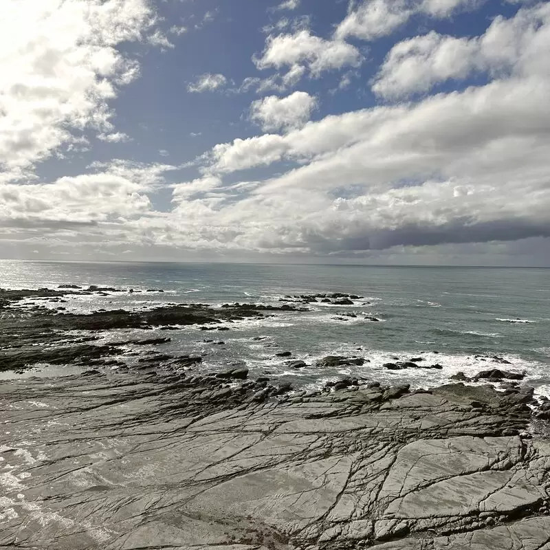 Kaikoura Recreation Reserve