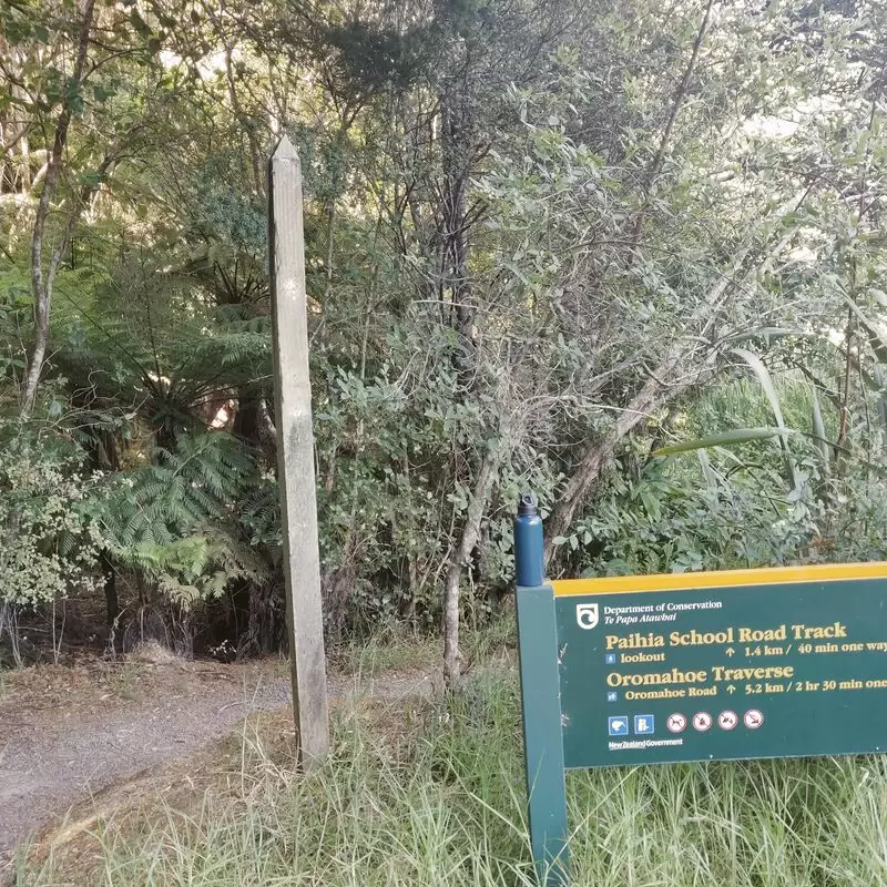 Opua Forest Paihia Lookout Track