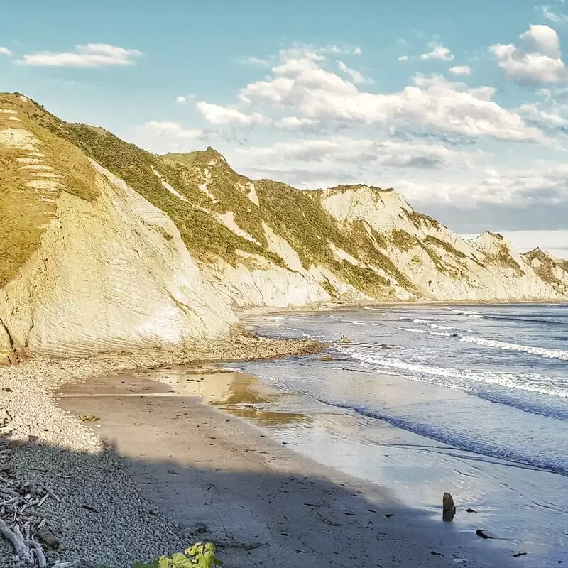 Sponge Bay Beach