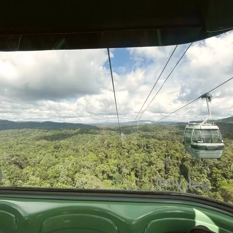 Skyrail Rainforest Cableway