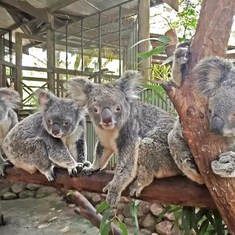 Rainforestation Nature Park