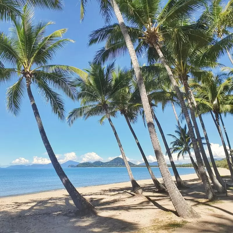 Palm Cove Beach