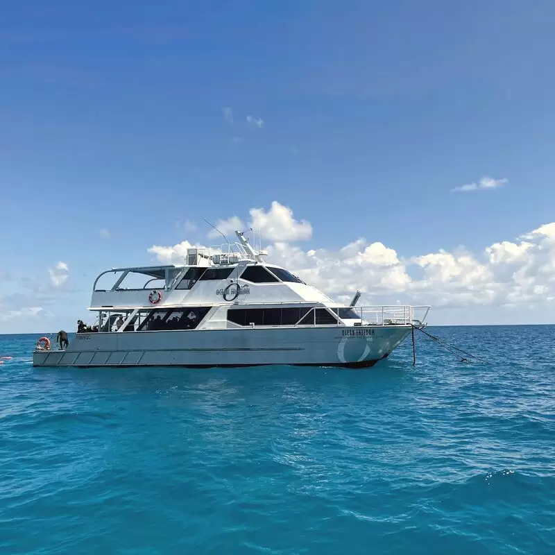 Ocean Free & Ocean Freedom Cairns Premier Great Barrier Reef & Island Tours