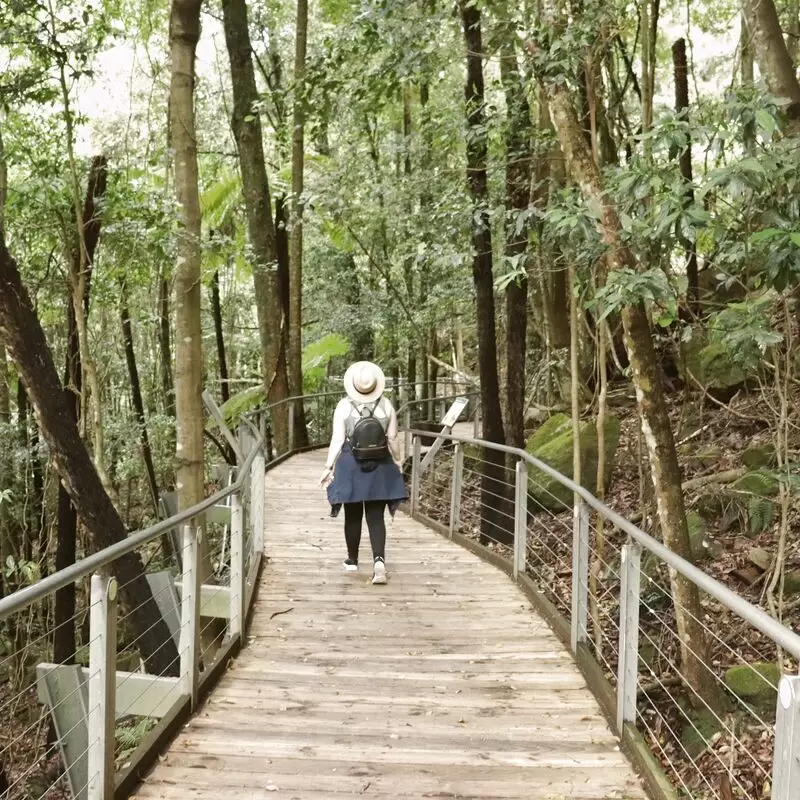 Scenic Walkway