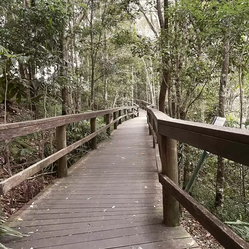 Obi Obi Boardwalk