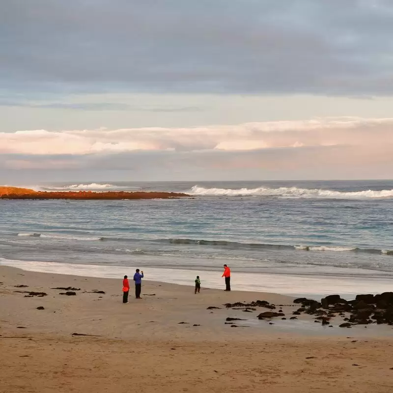 Pea Soup Beach No 2